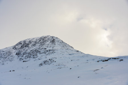 Snowy landscapeの写真素材