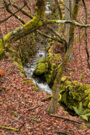 Autumn landscapeの写真素材