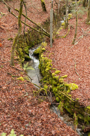 Autumn landscapeの写真素材