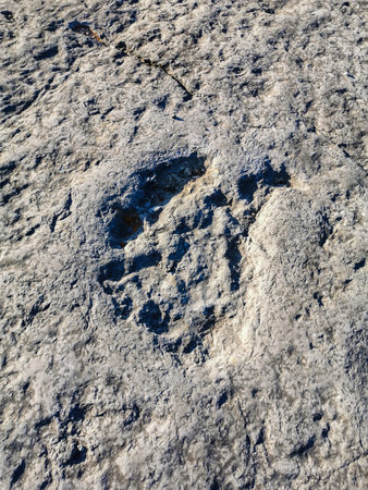 Natural monument of fossil dinosaur footprints in Serra D 'Aire in Pedreira do Galinha, in Portugal. A pedagogical circuit was created at the site, where visitors can see and touchの写真素材