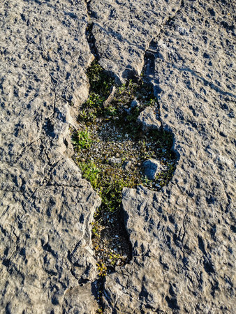 Natural monument of fossil dinosaur footprints in Serra D 'Aire in Pedreira do Galinha, in Portugal. A pedagogical circuit was created at the site, where visitors can see and touchの写真素材