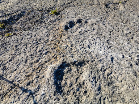 Natural monument of fossil dinosaur footprints in Serra D 'Aire in Pedreira do Galinha, in Portugal. A pedagogical circuit was created at the site, where visitors can see and touchの写真素材