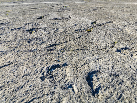 Natural monument of fossil dinosaur footprints in Serra D 'Aire in Pedreira do Galinha, in Portugal. A pedagogical circuit was created at the site, where visitors can see and touchの写真素材