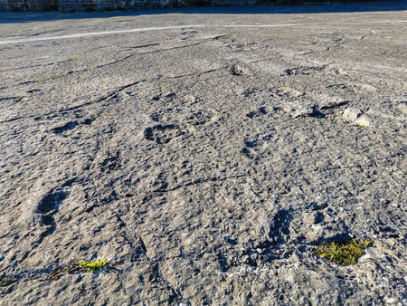Natural monument of fossil dinosaur footprints in Serra D 'Aire in Pedreira do Galinha, in Portugal. A pedagogical circuit was created at the site, where visitors can see and touchの写真素材