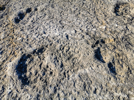 Natural monument of fossil dinosaur footprints in Serra D 'Aire in Pedreira do Galinha, in Portugal. A pedagogical circuit was created at the site, where visitors can see and touchの写真素材