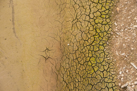 The Ponsul River is a affluent of the Tejo River, in Portugal, and is a very large river. At this time it is completely dry, without water and with its bed cracked. Climate changeの写真素材