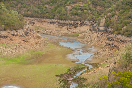 The Ponsul River is a affluent of the Tejo River, in Portugal, and is a very large river. At this time it is completely dry, without water and with its bed cracked.の写真素材