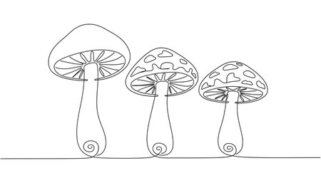Mushroom illustration in continuous line drawing style. isolated on white backgroundの素材
