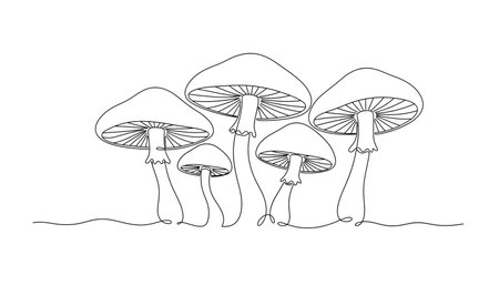 Mushroom illustration in continuous line drawing style. isolated on white backgroundの素材