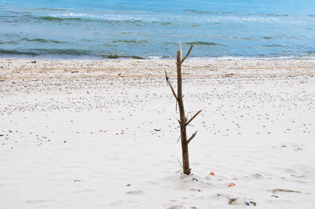 Beach landscape on the Baltic Sea in Polandの写真素材