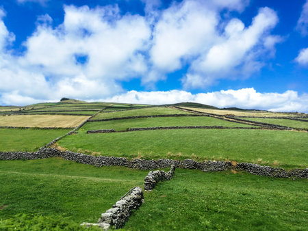 Detail of typical landscape in the Azores archipelago, Portugalの写真素材