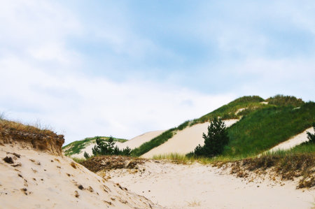 Beach landscapeの写真素材