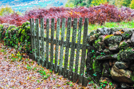 Landscape with warm autumn colorsの写真素材