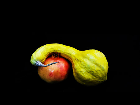 Decorative pumpkins on a black background. Halloween decoration. Copy space.の写真素材