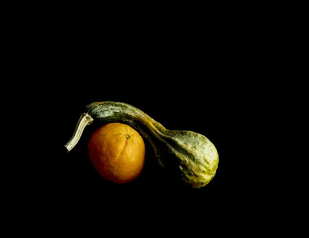 Decorative gourds on a black background. Copy space.の写真素材