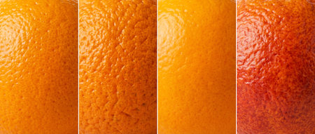Close-up with different textures of peel of orangesの素材