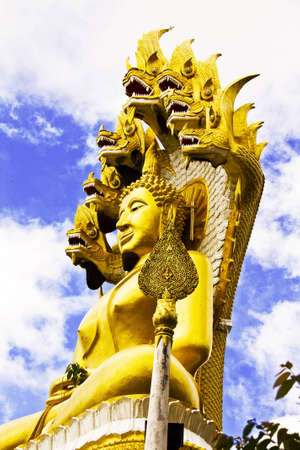 Buddhaの写真素材