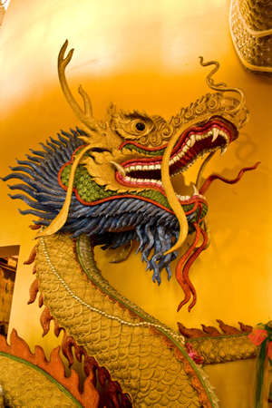 gold dragonの写真素材