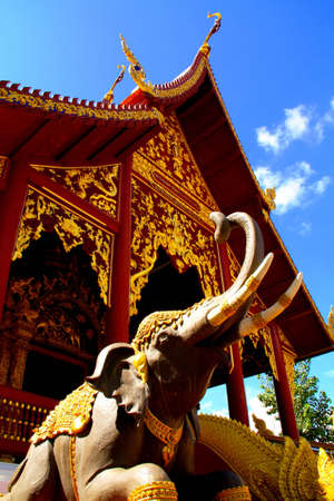 Elephant  cavingの写真素材