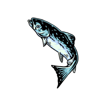 Vector illustration of salmon fish, and drawn line style with digital colorのイラスト素材