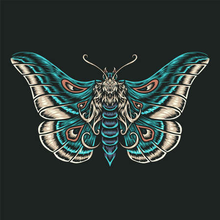 Butterfly, hand drawn line style with digital color, vector illustrationのイラスト素材