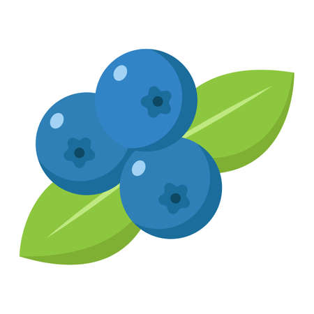 Blueberry flat icon, fruit and diet, vector graphics, a colorful solid pattern on a white background, eps 10.のイラスト素材