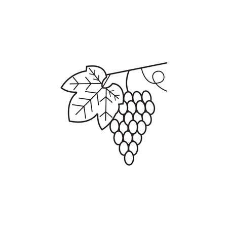 Grapes line icon, healthy fruit, vector graphics, a linear pattern on a white background, eps 10.のイラスト素材