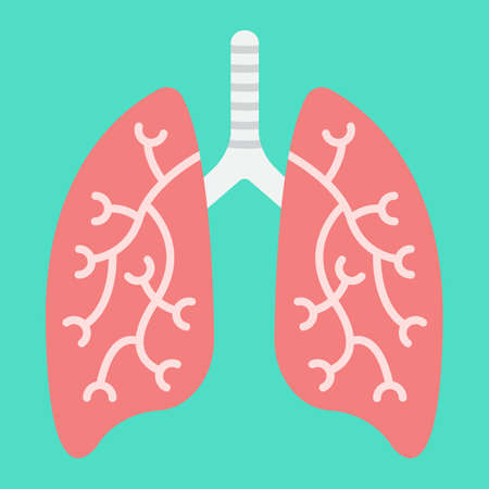 Lungs flat icon, medicine and healthcare, human organ sign vector graphics, a colorful solid pattern on a cyan background, eps 10.のイラスト素材