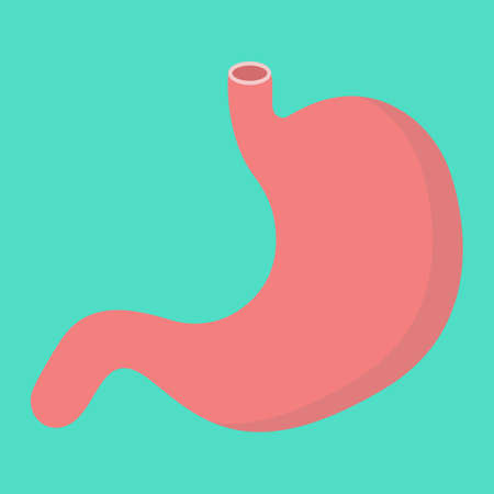 Stomach flat icon, medicine and healthcare, human organ sign vector graphics, a colorful solid pattern on a cyan background, eps 10.のイラスト素材