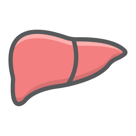 Liver filled outline icon, medicine and healthcare, human organ sign vector graphics, a colorful line pattern on a white background, eps 10.のイラスト素材