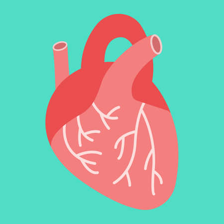 Human heart flat icon, medicine and healthcare, human organ sign vector graphics, a colorful solid pattern on a cyan background, eps 10.のイラスト素材