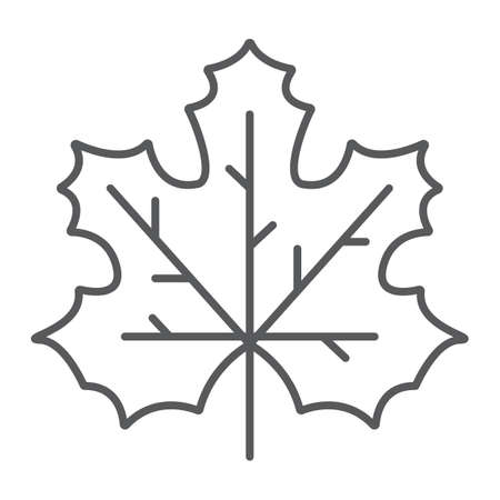 Maple leaf thin line icon, canada and nature, autumn sign, vector graphics, a linear pattern on a white background, eps 10.のイラスト素材