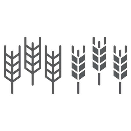 Wheat line and glyph icon, grain and gluten, bread sign, vector graphics, a linear pattern on a white background, eps 10.の写真素材
