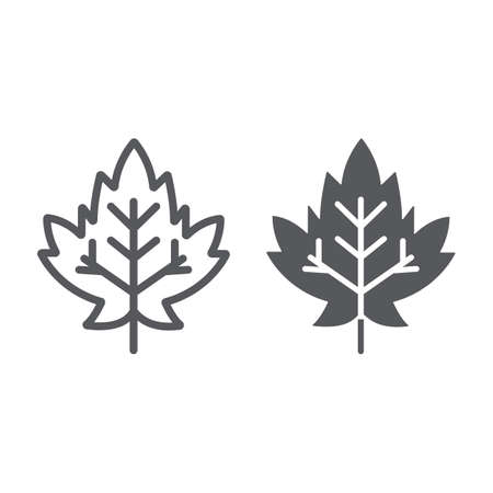 Maple leaf line and glyph icon, foliage and nature, autumn leaf sign, vector graphics, a linear pattern on a white background.のイラスト素材
