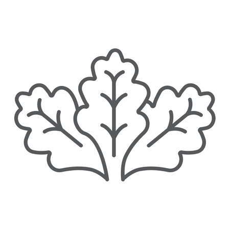 Lettuce thin line icon, vegetable and organic, salad sign, vector graphics, a linear pattern on a white background.のイラスト素材