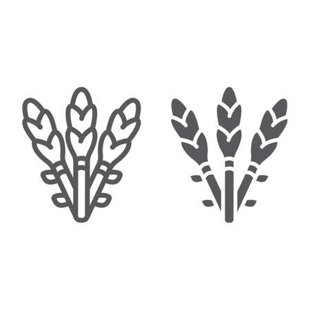 Asparagus line and glyph icon, vegetable and organic, vegetarian food sign, vector graphics, a linear pattern on a white background.のイラスト素材