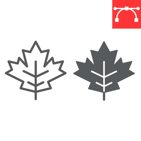 Maple leaf line and glyph icon, thanksgiving and nature, leaf sign vector graphics, editable stroke linear icon, eps 10.のイラスト素材