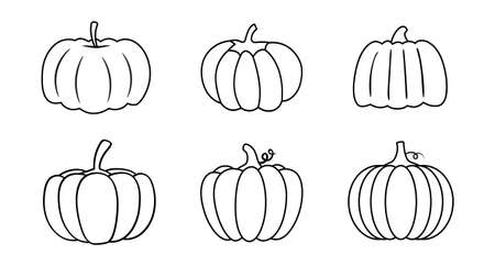 Set of pumpkins in various shapes. Vector outline illustration. Collection of cute hand drawn pumpkins on white background. Elements for autumn decorative design, harvestのイラスト素材