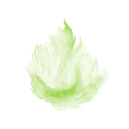 Abstract green watercolor water splash on a white background. Vector watercolour texture in salad color. Ink paint brush stain. Green splatter spot. Watercolor pastel splashのイラスト素材
