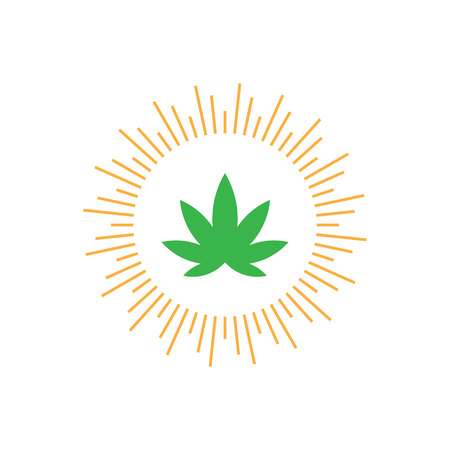 logo design with light and and leaf illustrations. vectorのイラスト素材