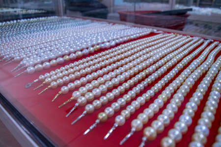 Multicolored Salt Water Pearl arranged neatly in glass cabinetの写真素材