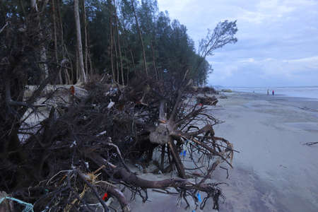 Land loss due to beach erosion caused by sea level rise in Coxs Bazar Sea Beach of Bangladesh
