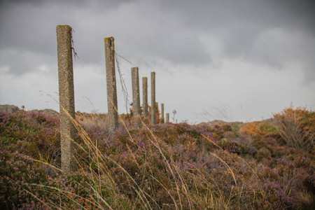 Fence In The Stormの写真素材