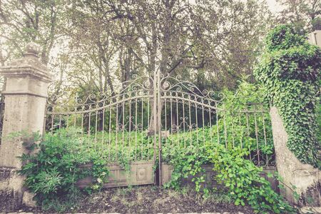 old silver metal gates overgrown with green vegetation and grassの写真素材