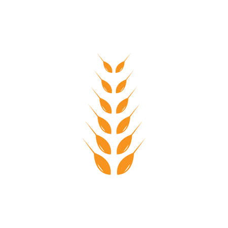 wheat Logo Template vector icon designのイラスト素材