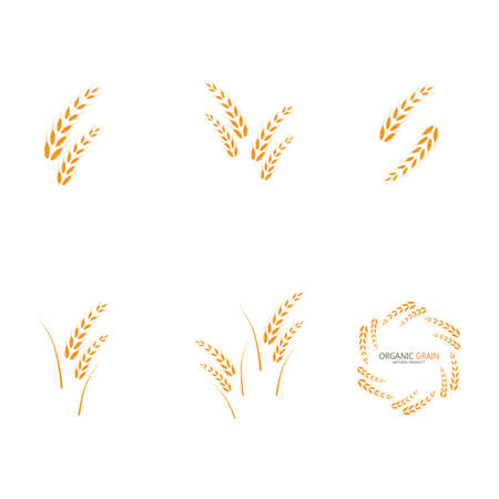 wheat Logo Template vector icon designのイラスト素材