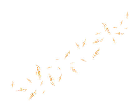 Agriculture wheat Logo Template vector icon designのイラスト素材