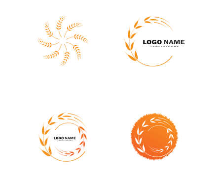 wheat Logo Template vector icon designのイラスト素材