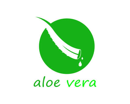 Aloe vera logo vector ilustrationのイラスト素材