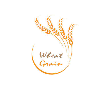 wheat Logo Template vector icon designのイラスト素材
